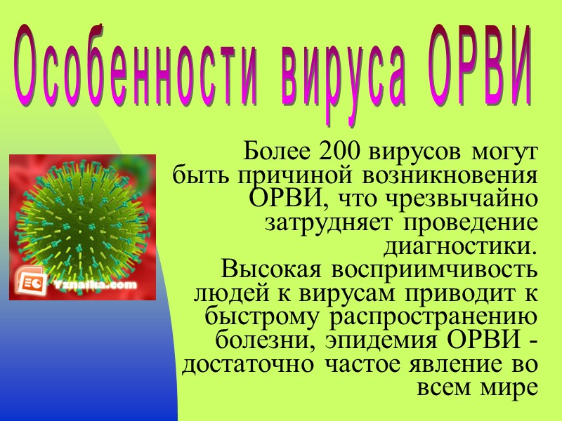 Более 200 вирусов могут быть причиной возникновения ОРВИ, что чрезвычайно затрудняет проведение диагностики. 